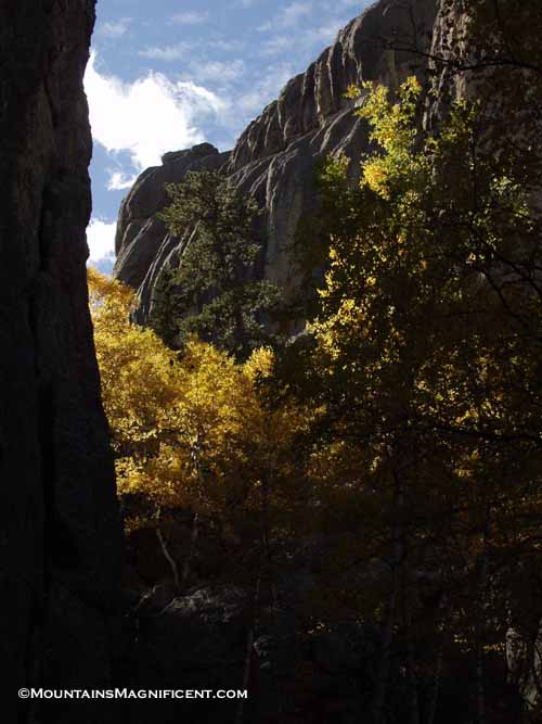 Black Hills of the Rockies