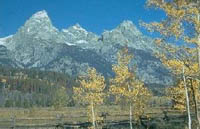 rocky mountains mountain ranges
